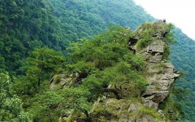 南昌到厦门正在规划一条高铁,途经顺昌!