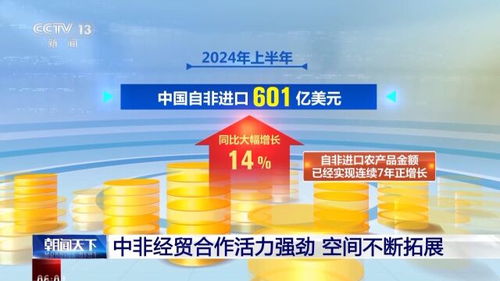 中非贸易伙伴十五载 经贸合作再升级