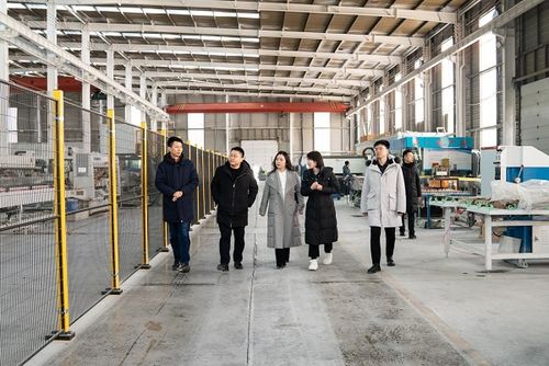 南充市蓬安县政府经济合作和外事局领导到访严一集团共商合作发展