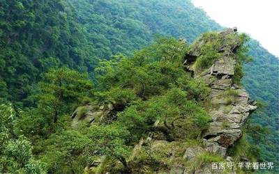 南昌到厦门正在规划一条高铁,总投资620亿元,沿线即将有新发展