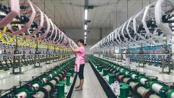 美国奇葩服装店 成本公开,从不打折,三年上新200款,成立5年估值2.5亿