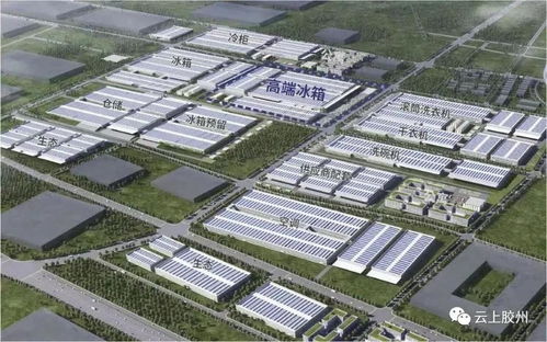 上合示范区成立5年,山东和青岛如何干上海擅长干的事