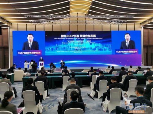 佘春明在上海出席山东省 rcep 经贸合作高层对话会