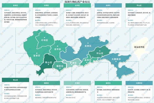 2024年深圳市生物医药产业分布地图分析
