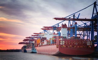 天下南平经济协作 区域协同发展的新篇章