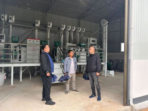 闵行援滇昌宁项目实地考察 南平经济协作建设稳步推进