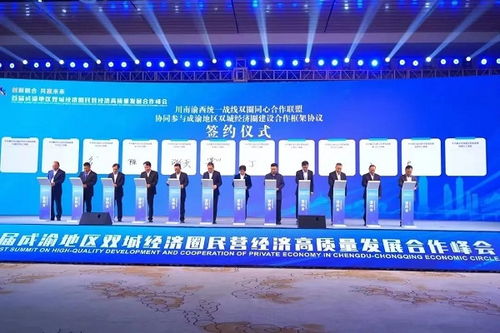 首届成渝地区双城经济圈民营经济高质量发展合作峰会召开，南平经济协作共谋新篇